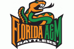 Florida A&M University